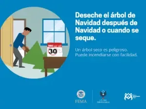 A person removing a dried-out christmas tree from their home with a cautionary message about fire safety, advising to dispose of the tree after the holiday season or when it becomes dry to prevent potential fire hazards.